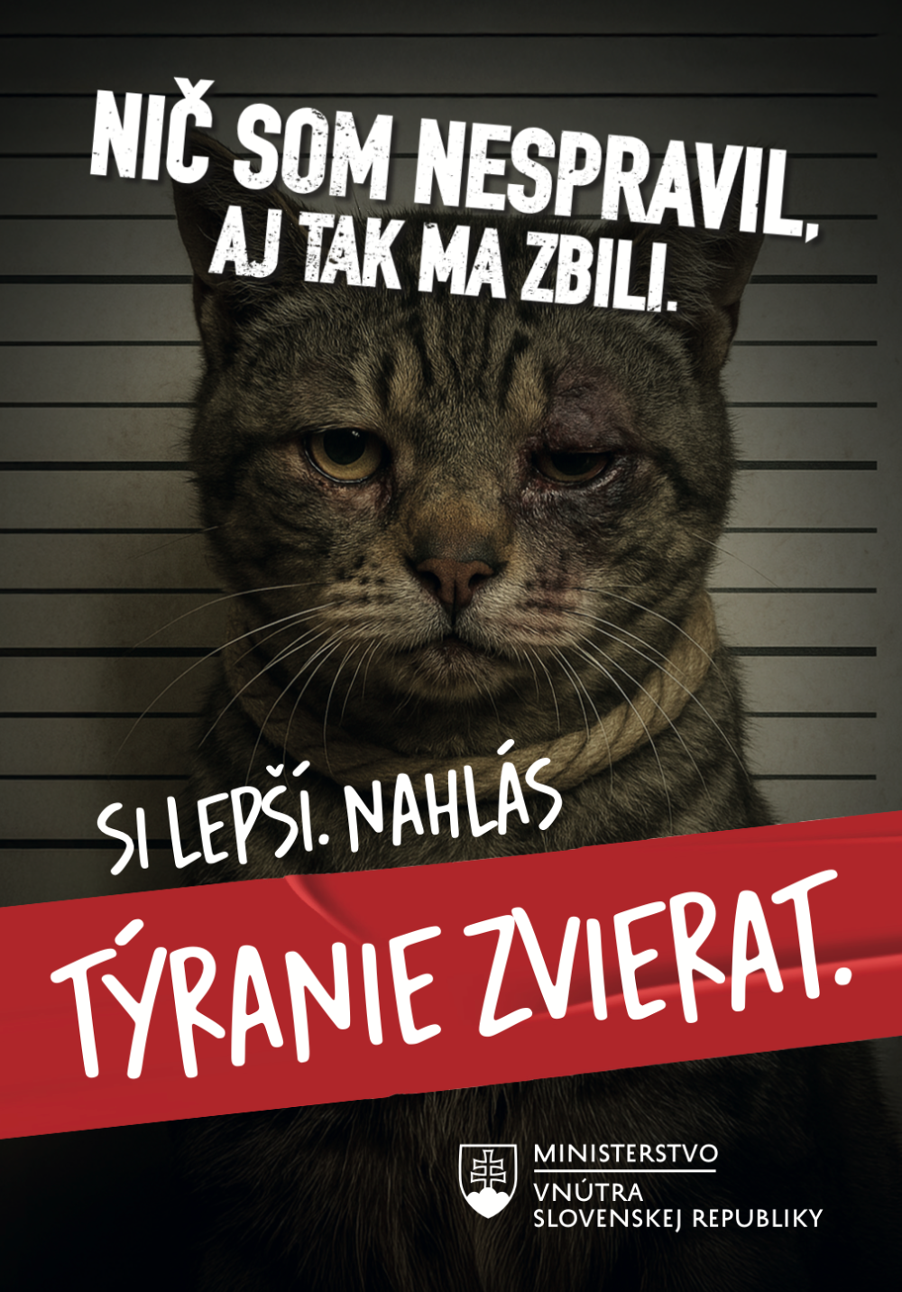 Týranie zvierat